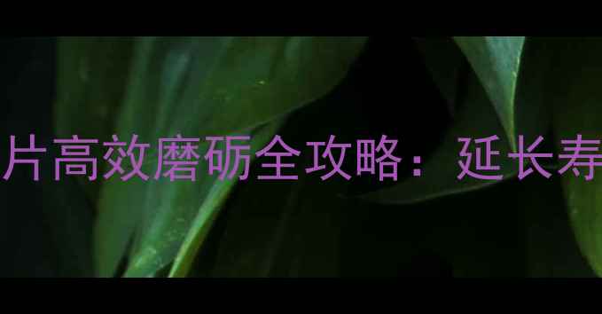 图片 woodworking粉碎机钢刀片高效磨砺全攻略：延长寿命的5大步骤与常见问题