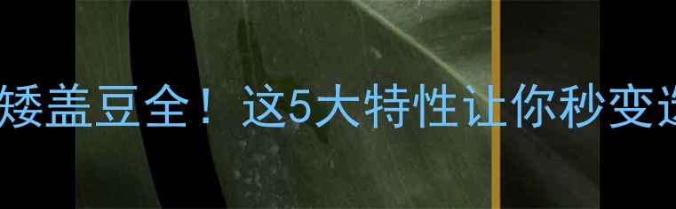 图片 ✨新手必看矮盖豆全！这5大特性让你秒变选材达人🔥1