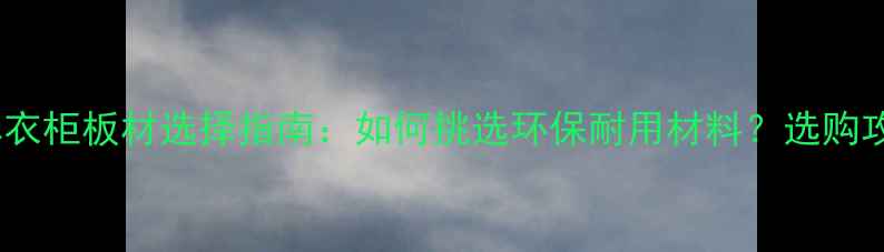 图片 品牌衣柜板材选择指南：如何挑选环保耐用材料？选购攻略1