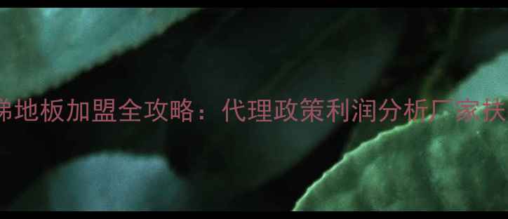 图片 广州实木楼梯地板加盟全攻略：代理政策利润分析厂家扶持成功案例1