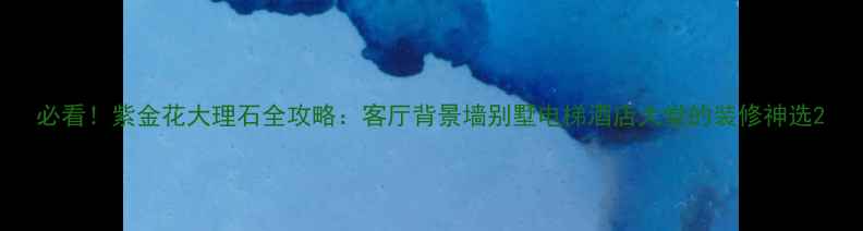 图片 必看！紫金花大理石全攻略：客厅背景墙别墅电梯酒店大堂的装修神选2