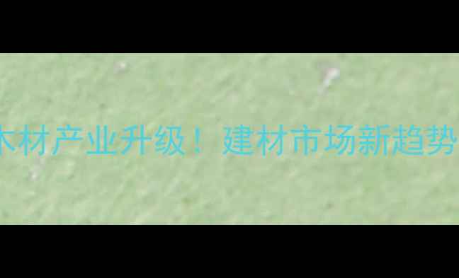 图片 扶绥县木材产业升级！建材市场新趋势🌳🛠️2