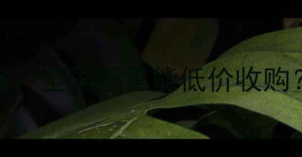 图片 木材废料回收变现全攻略：全国哪里能低价收购？附免费渠道+处理技巧2