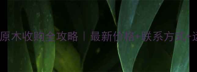 图片 江西杉木原木收购全攻略｜最新价格+联系方式+运输指南1