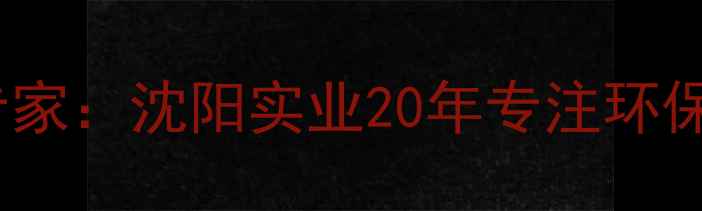图片 沈阳实木门定制专家：沈阳实业20年专注环保家居门研发生产2