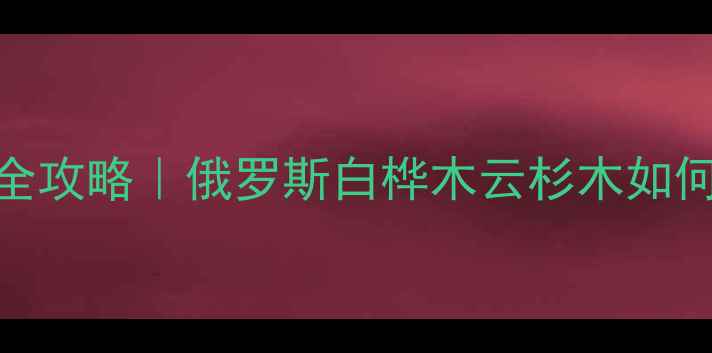 图片 白俄罗斯进口木材采购全攻略｜俄罗斯白桦木云杉木如何选？附价格+安装指南2