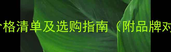 图片 美国进口压刨机价格清单及选购指南（附品牌对比与市场趋势）1