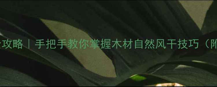 图片 🌟木材干燥全攻略｜手把手教你掌握木材自然风干技巧（附避坑指南）1