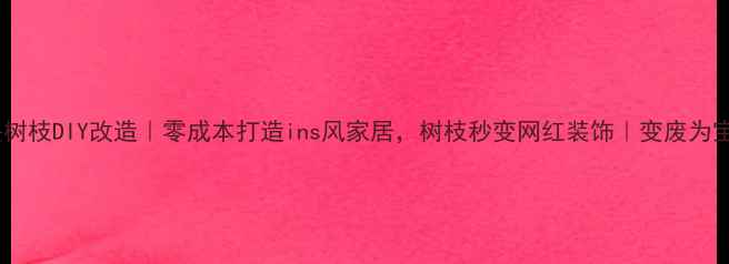 图片 🌿旧木头树枝DIY改造｜零成本打造ins风家居，树枝秒变网红装饰｜变废为宝攻略🌿1