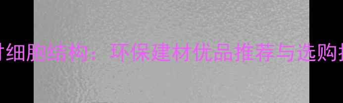 图片 🌿木材细胞结构：环保建材优品推荐与选购指南🌟