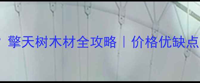 图片 🔥值钱吗？擎天树木材全攻略｜价格优缺点选购指南1