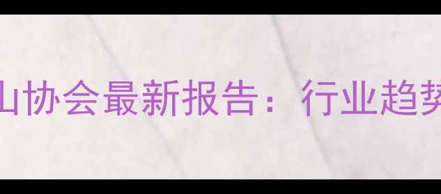 图片 🔥国内花岗岩矿山协会最新报告：行业趋势+选购指南全💡2