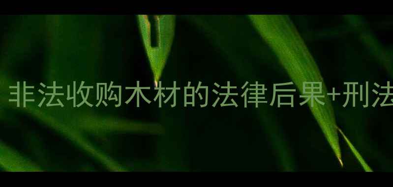 图片 🔥建材行业必看！非法收购木材的法律后果+刑法第312条深度⚖️