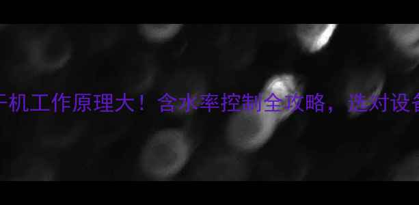 图片 🔥木材烘干机工作原理大！含水率控制全攻略，选对设备省万元💰