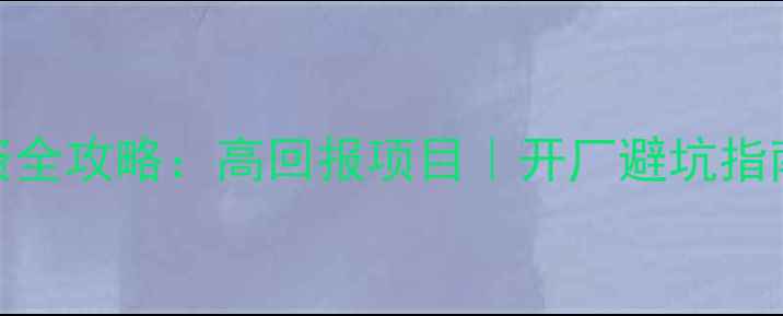 图片 🔥板材家具厂投资全攻略：高回报项目｜开厂避坑指南｜政策补贴解读
