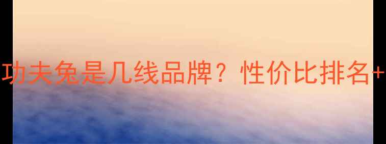 图片 ✨建材选购必看！功夫兔是几线品牌？性价比排名+施工队避坑指南✨
