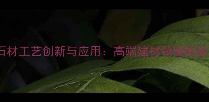 图片 中国黑石材工艺创新与应用：高端建材领域的品质标杆2