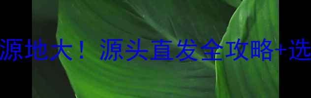 图片 临沂木材发源地大！源头直发全攻略+选材避坑指南