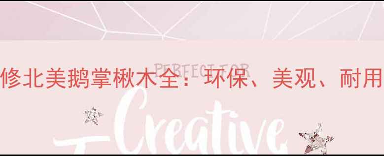 图片 北美鹅掌楸木装修北美鹅掌楸木全：环保、美观、耐用，家居热选材料