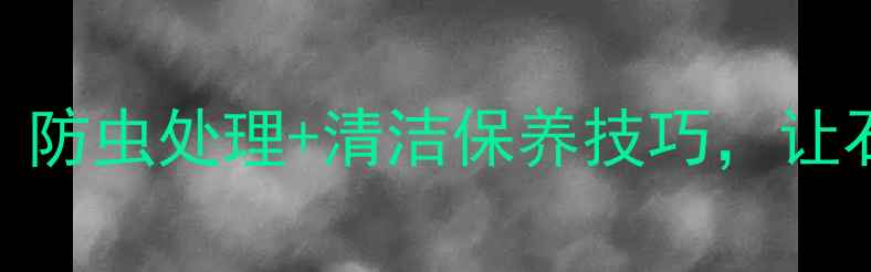 图片 大理石养护全攻略｜防虫处理+清洁保养技巧，让石材寿命延长10年！