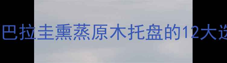 图片 建材行业首选：专业巴拉圭熏蒸原木托盘的12大选购要点与环保优势2
