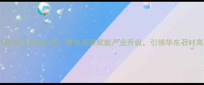 图片 江西省石材商会行业白皮书：整合资源赋能产业升级，引领华东石材高质量发展1