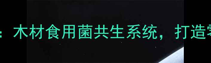 图片 环保建材新趋势：木材食用菌共生系统，打造零废弃建筑空间2