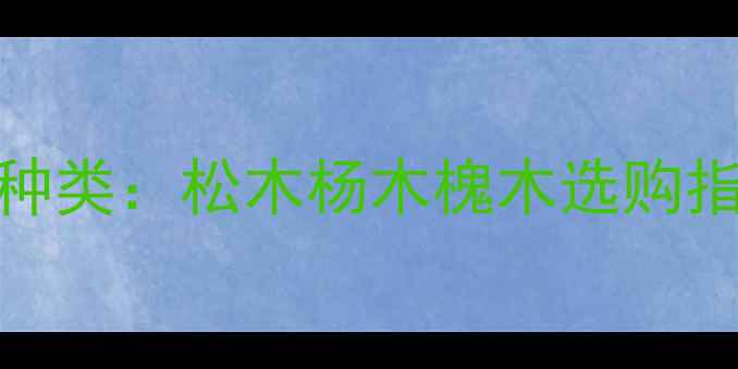 图片 甘肃建材市场主流木材种类：松木杨木槐木选购指南与价格趋势（更新）