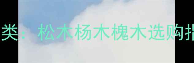 图片 甘肃建材市场主流木材种类：松木杨木槐木选购指南与价格趋势（更新）1