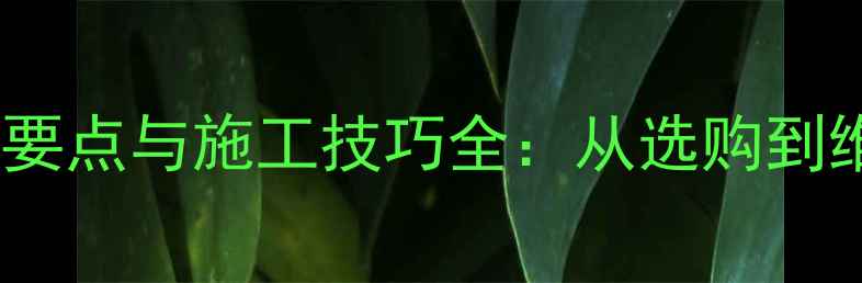 图片 石材罗马柱设计要点与施工技巧全：从选购到维护的完整指南1