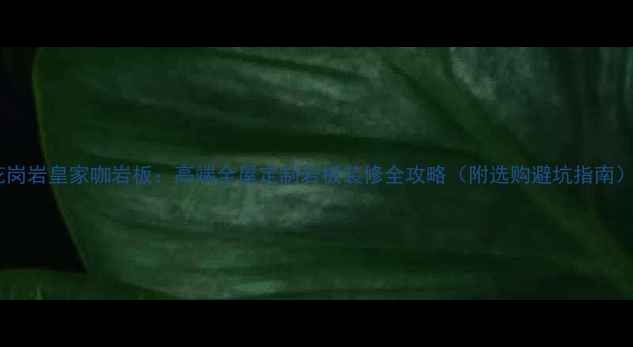 图片 花岗岩皇家咖岩板：高端全屋定制岩板装修全攻略（附选购避坑指南）1