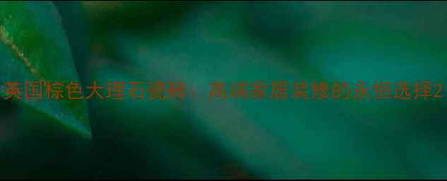 图片 英国棕色大理石瓷砖：高端家居装修的永恒选择2