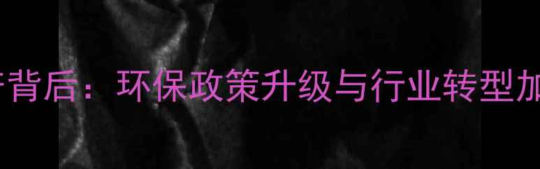 图片 莱州石材厂集体停产背后：环保政策升级与行业转型加速的深层影响分析1