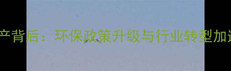 图片 莱州石材厂集体停产背后：环保政策升级与行业转型加速的深层影响分析2