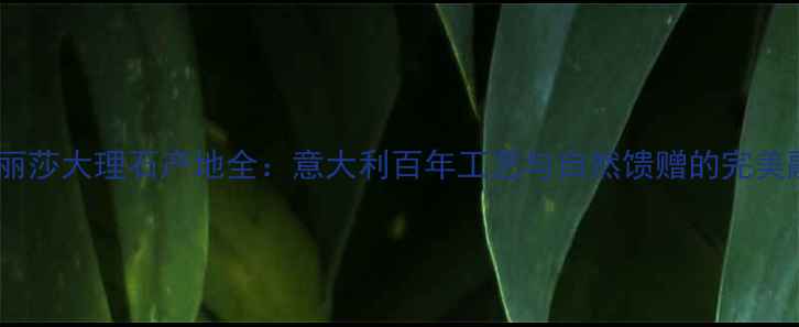 图片 蒙娜丽莎大理石产地全：意大利百年工艺与自然馈赠的完美融合1