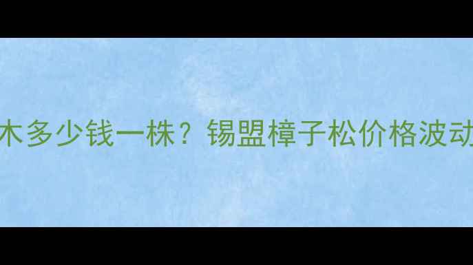图片 锡林郭勒樟子松苗木多少钱一株？锡盟樟子松价格波动+种植养护全攻略1