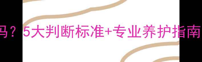 图片 🔥大理石裂缝多正常吗？5大判断标准+专业养护指南（附选购避坑攻略）2