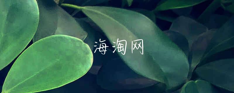 海淘药水是什么意思