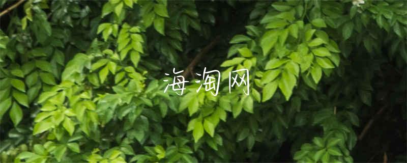 香港苹果官网
