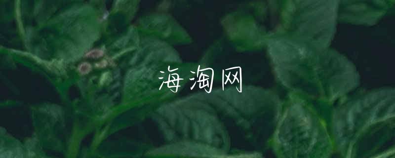 鸿星尔克篮球鞋